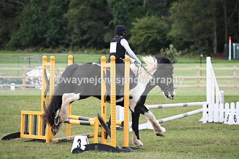 WJ6_1471 - 60cm Time 11:51 to 12:10