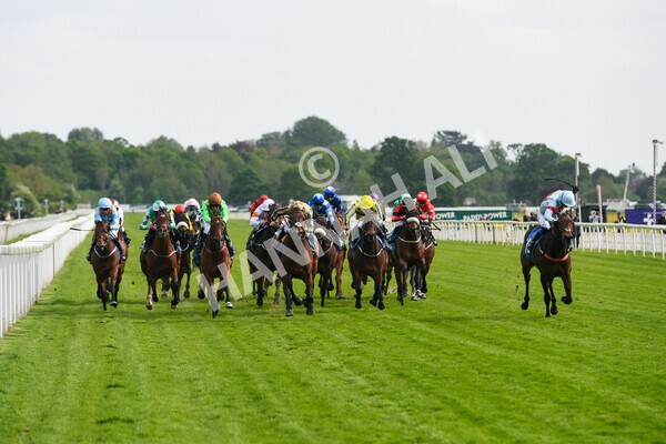 yr13052022r6-33 - Race 6 4.45pm Yorkshire Equine Practice Stakes