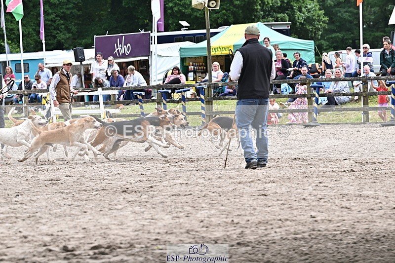 250524A-152315-12710 - East Devon Hounds