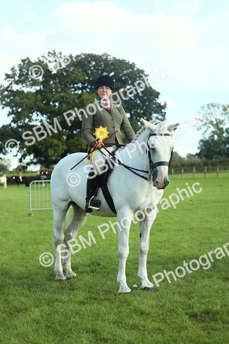 SBM_49938 - S32 - Novice & Newcomers Working Hunter
