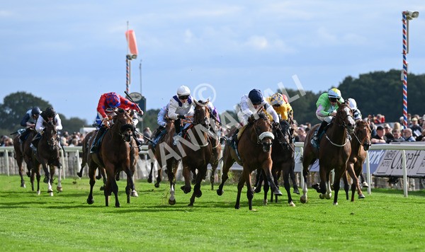 210825-198 Stellar Sunrise - Race 6 4.45pm Mews Hotel Ossett EBF Stallions Nursery Handicap