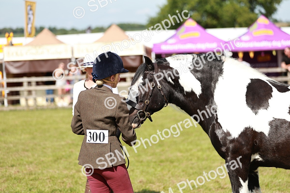 SBM_08826 - Class 63-65 - Traditional Gypsy Cobs In Hand & Ridden