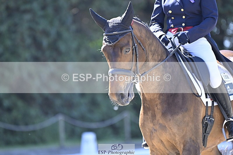 250522A-100630-02611 - B-308-Jeanette.Brakewell-COUGAR.MAIL