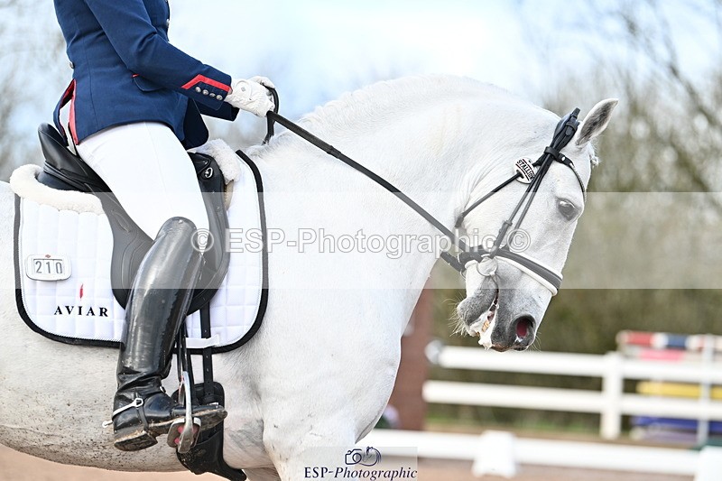 240218A-150349-08298 - 210-Charlotte.Dicker-Amaranto.D.Centurion