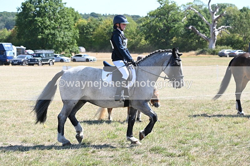 WJ6_8301 - Class 37a Best Loan Pony Ridden