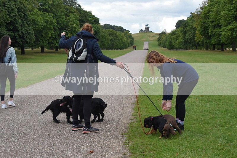 TT3_0508 - Time at Crossing 14:53 to 1526