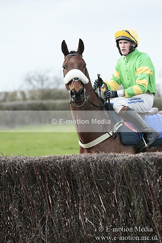 PtP 230319 227 - VWH Hunt Siddington Point-to-Point Racing 23/03/19
