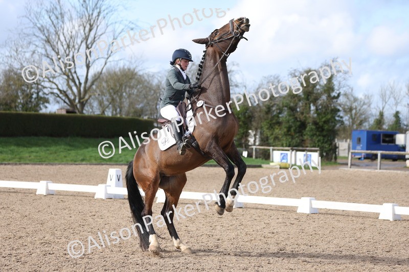 20260301-0722 - Class 4 - Novice 5