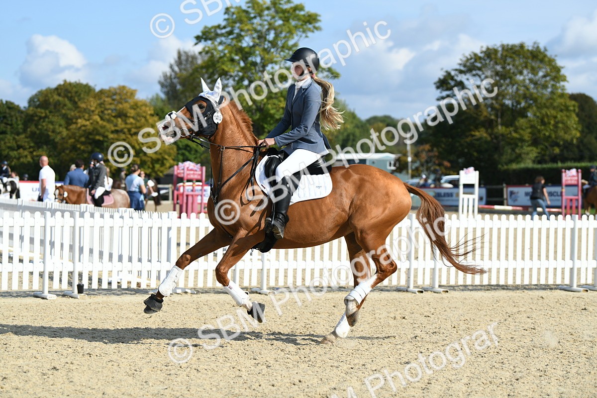 SBM_61726 - j25 - Junior Horse 80cm Championship