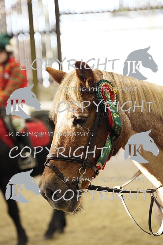 _DSC3227 - Class 4 50cm