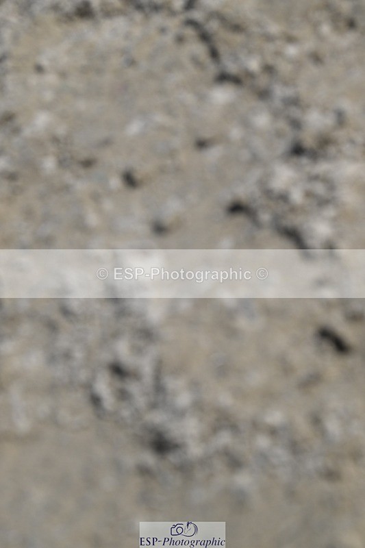 250823A-122734-28835 - WC Round 2 70+ 12.44 to 13.10