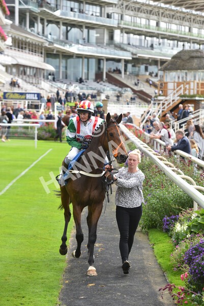 yr24092021r1-85 - Race 1 1.10pm Ernest Cooper Macmillan Ride of Their Lives