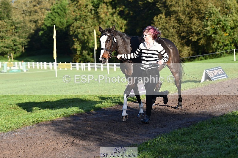 231022-093806-21934 - 427-COMBE.BREEZE-Gemma.Wells-TrotUp+SJ