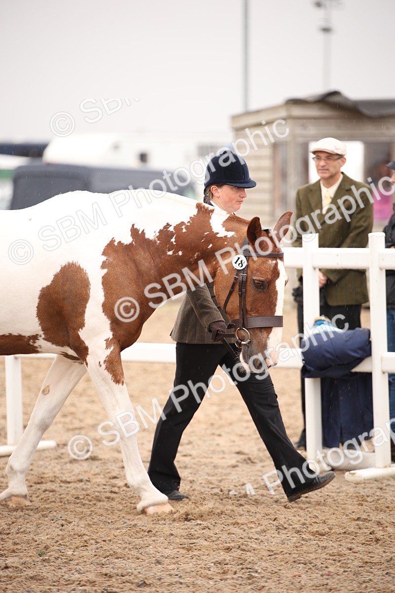 SBM_20216 - Class 703 - IH  Coloured