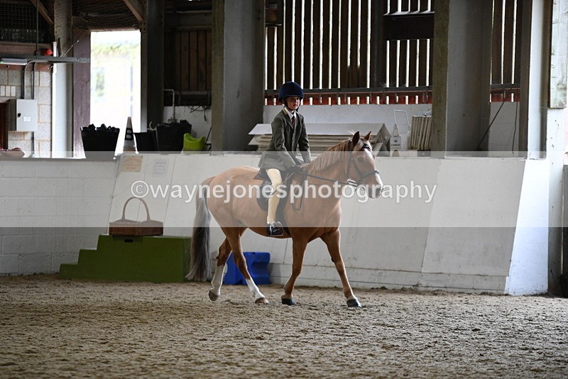 WJ5_6800 - Class 10 Childs Pony