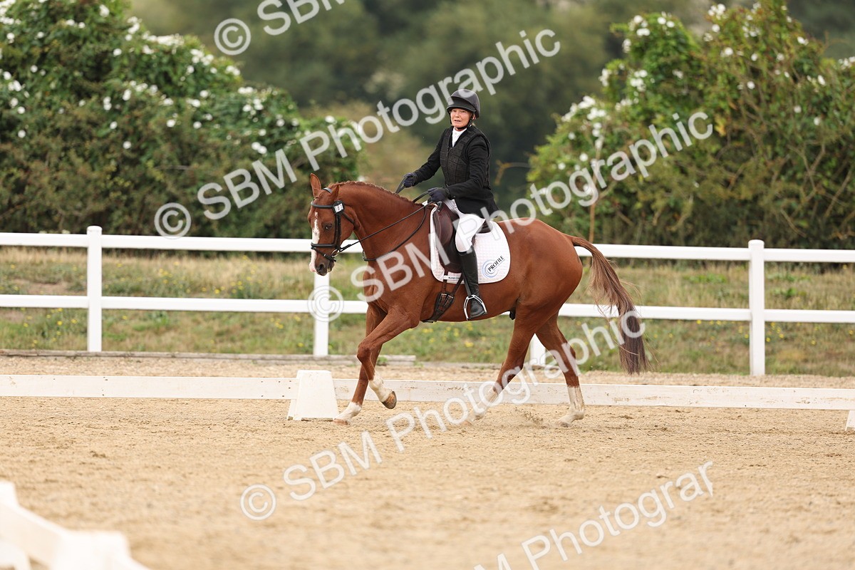SBM_01437 - Class 9 - Novice 27 Champs
