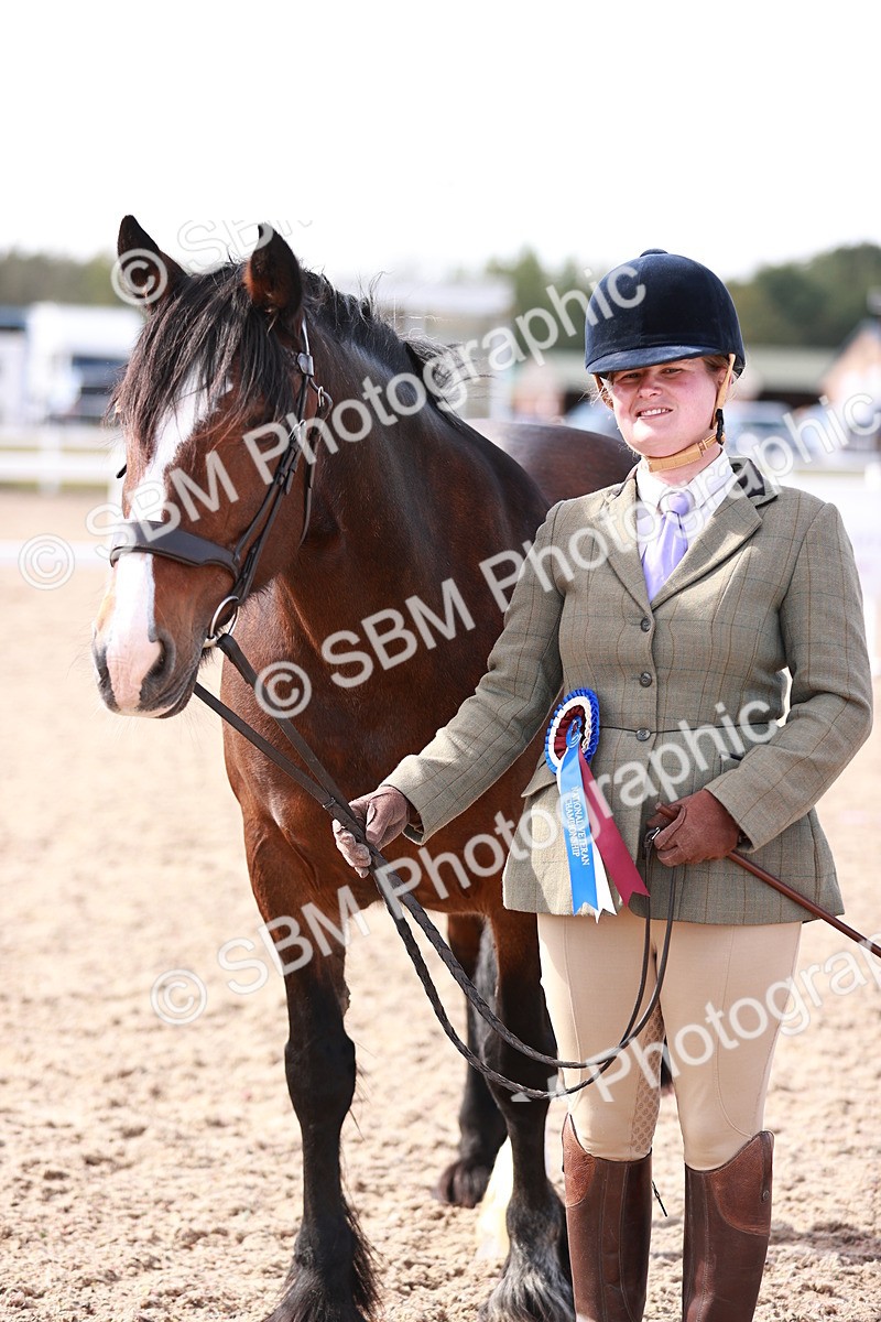 SBM_22922 - Class 706 - IH Veteran