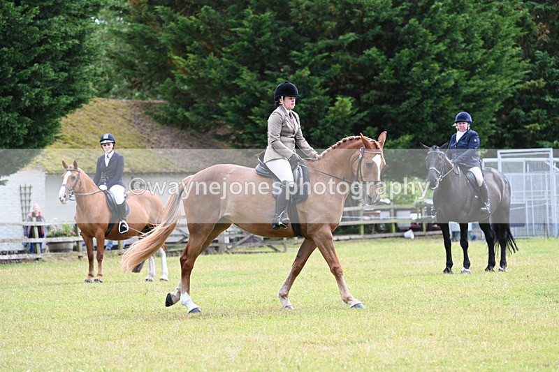 WJ7_9315 - Class 8 Ridden Veterans