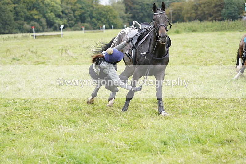 _DSC8444 - Time at Photographer 12:37 to 13:12