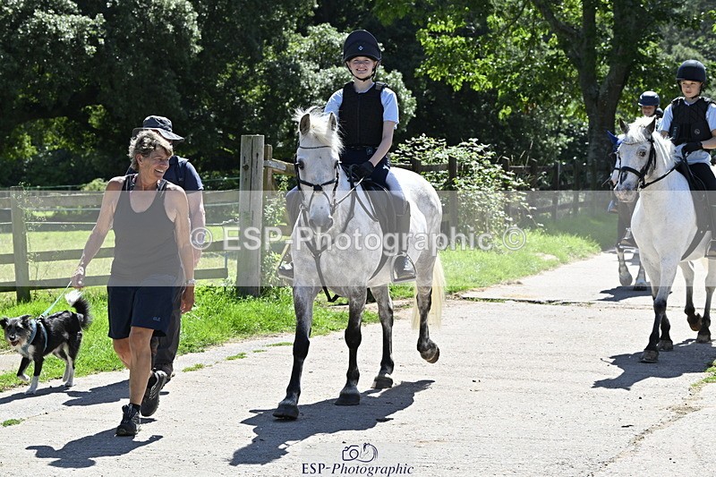 240728B-141211-00452 - Theo and Gemma's Groups Indoor