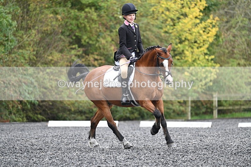 WJ7_4029 - Time 11:04 to 11:38