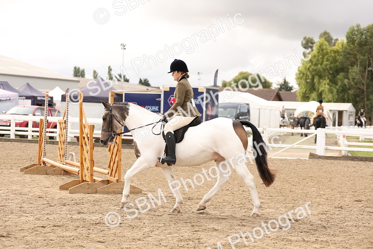SBM_02830 - Class 53 - Ridden Competition Horse/Pony