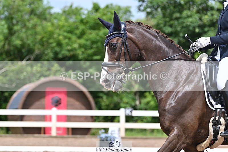 240622A-125310-10574 - Cls 37 BD Music Adv Medium