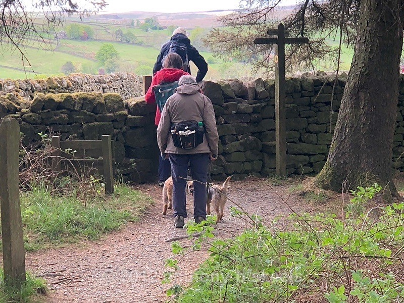 033 Out of the wood near Garnshaw House - York Minster Walkers Collection 2025