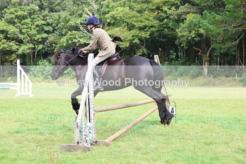 3E7A5809 - Class 26 and 27: 70cm Working Hunter