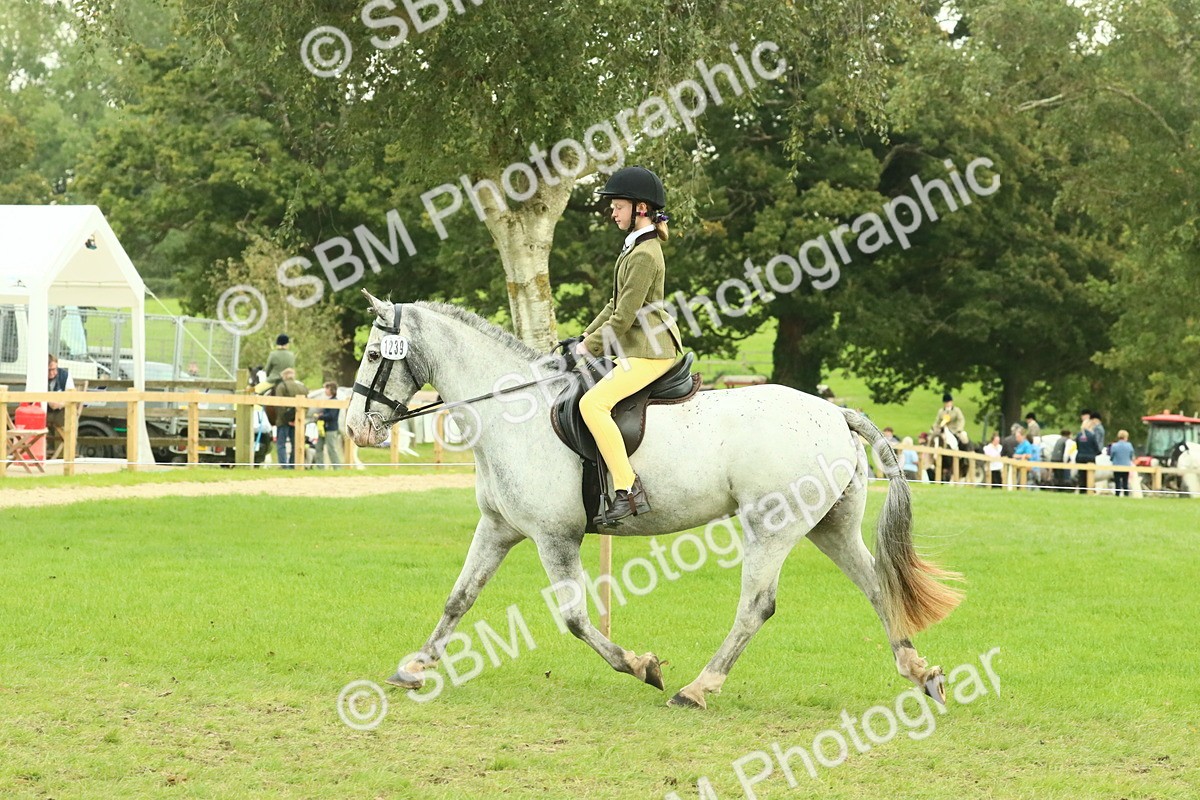 SBM_74047 - S 61 - Show Pony & Show Hunter Pony Ridden