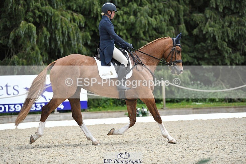 230525-151805-03223 - 308-NEFFECT_S-Kat_Raybould-WEDTrotUp+DR