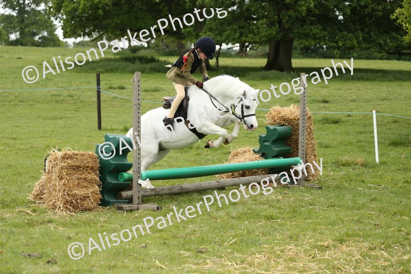 20250517-1076 - Class 21 - Novice Working Hunter