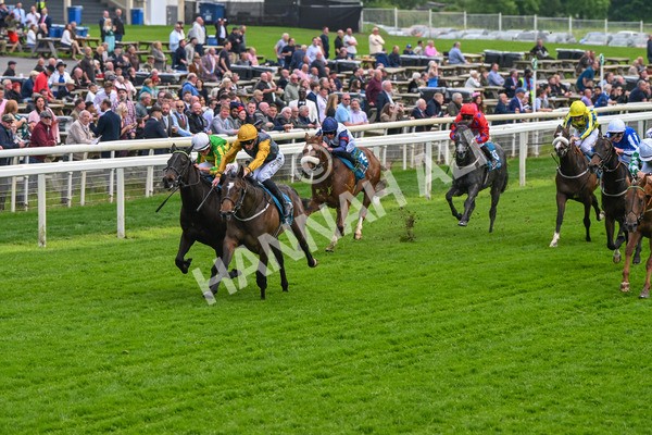 150524-Race 6-Shadow Army-4556 - Race 6 4.45pm British Stallion Studs EBF Novice Stakes