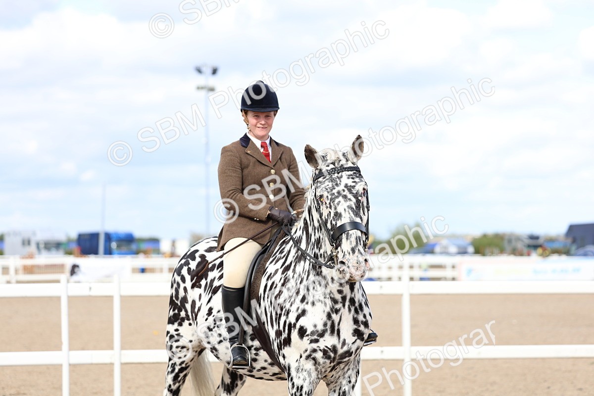 SBM_17210 - Class 315 - Best Horse - Rider Combination
