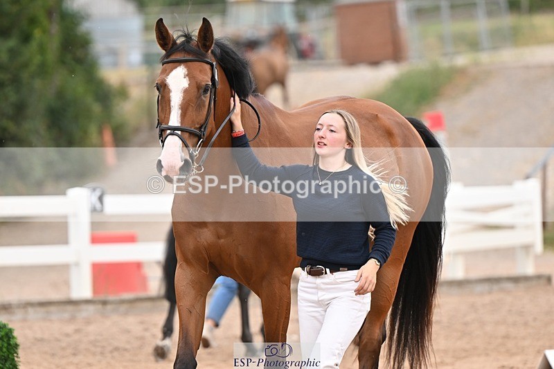 250716-160808-02437 - Trot Up 3.30 to 4.30