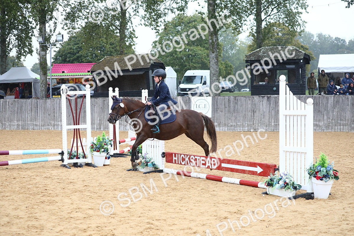 SBM_71730 - J4 - Mini Tour Junior Pony 45cm Championship