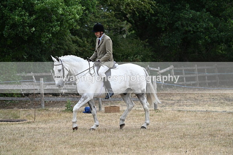 WJ7_0901 - Class 7 Riding Club Show Horse