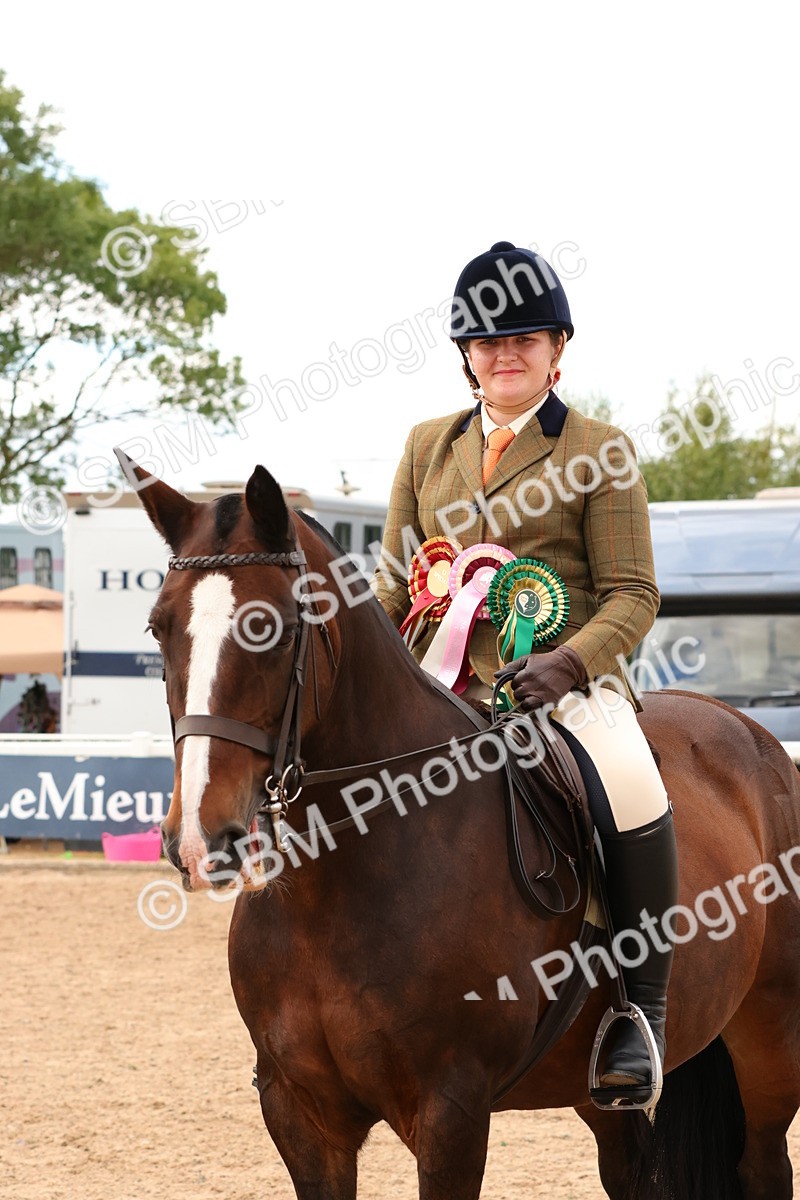 SBM_15605 - Class 214 - Ridden Show Cob
