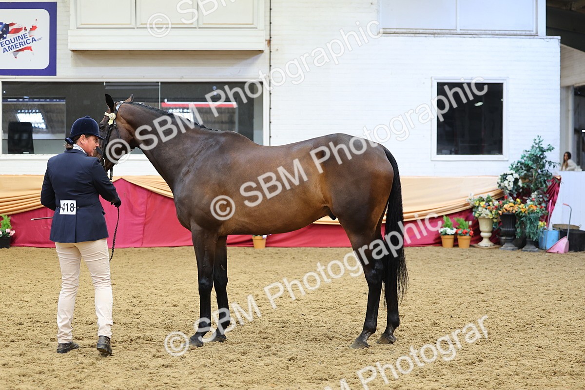 SBM_22902 - Class 903 - Supreme Final - IH Pre Vet