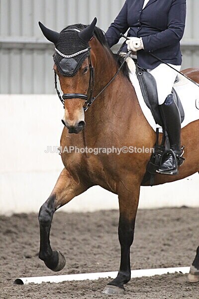 SIAL5317 - CAbin Dressage 5th july 2025