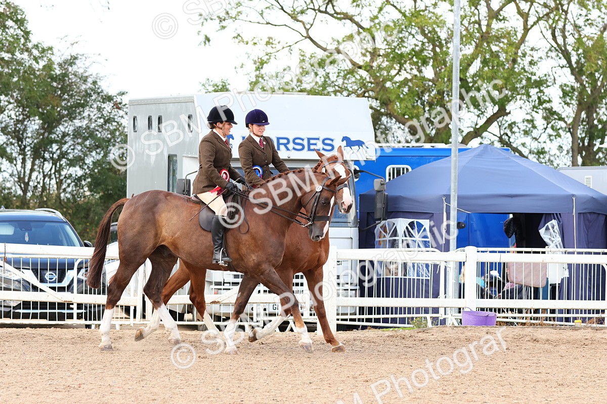 SBM_13585 - Class 212 - Ridden Hunter  - Large