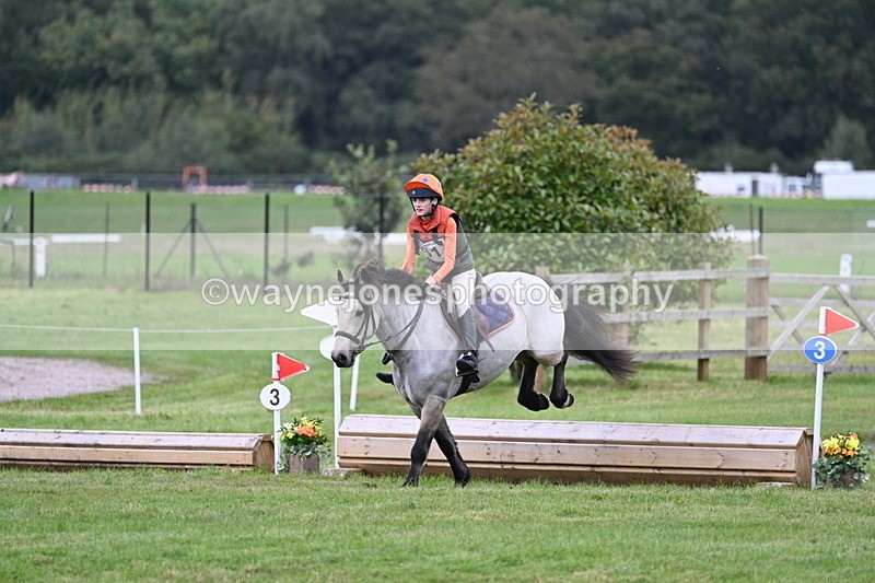 WJ7_8715 - 60cm Time 12:31 to 12:50