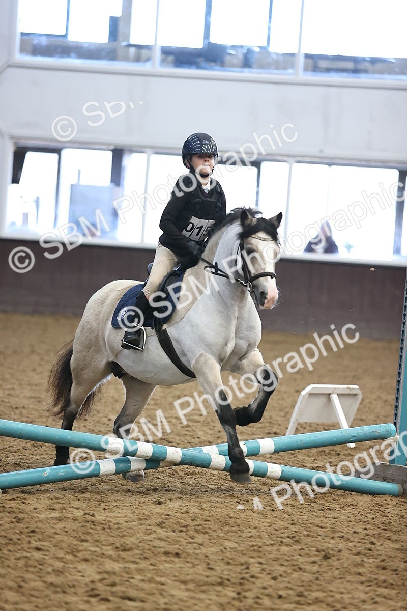 SBM_000251 - Class 2 - The Rug Lady 40cm Area 12 Championship Qualifier