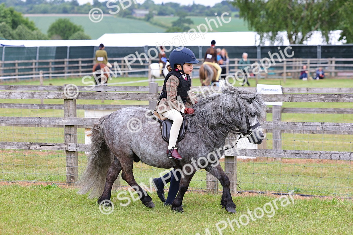 SBM_08109 - Class 42-43 - LIHS BSPS Heritage Working Sports Pony