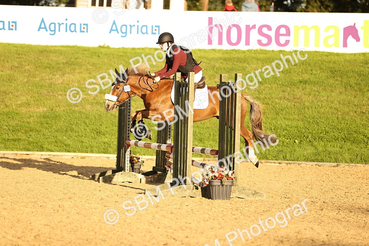SBM_56031 - J10 - Junior Pony 75cm Championship