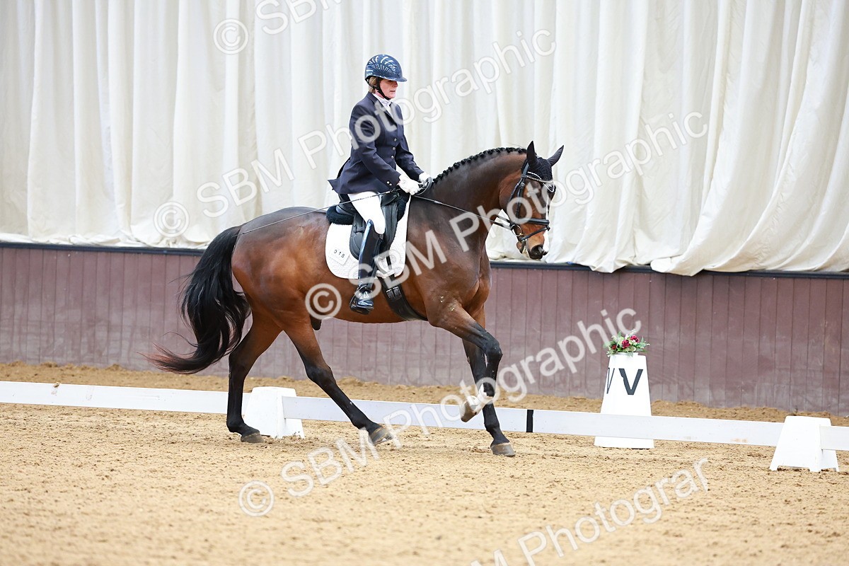 SBM_001414 - Class 5 - Novice 5