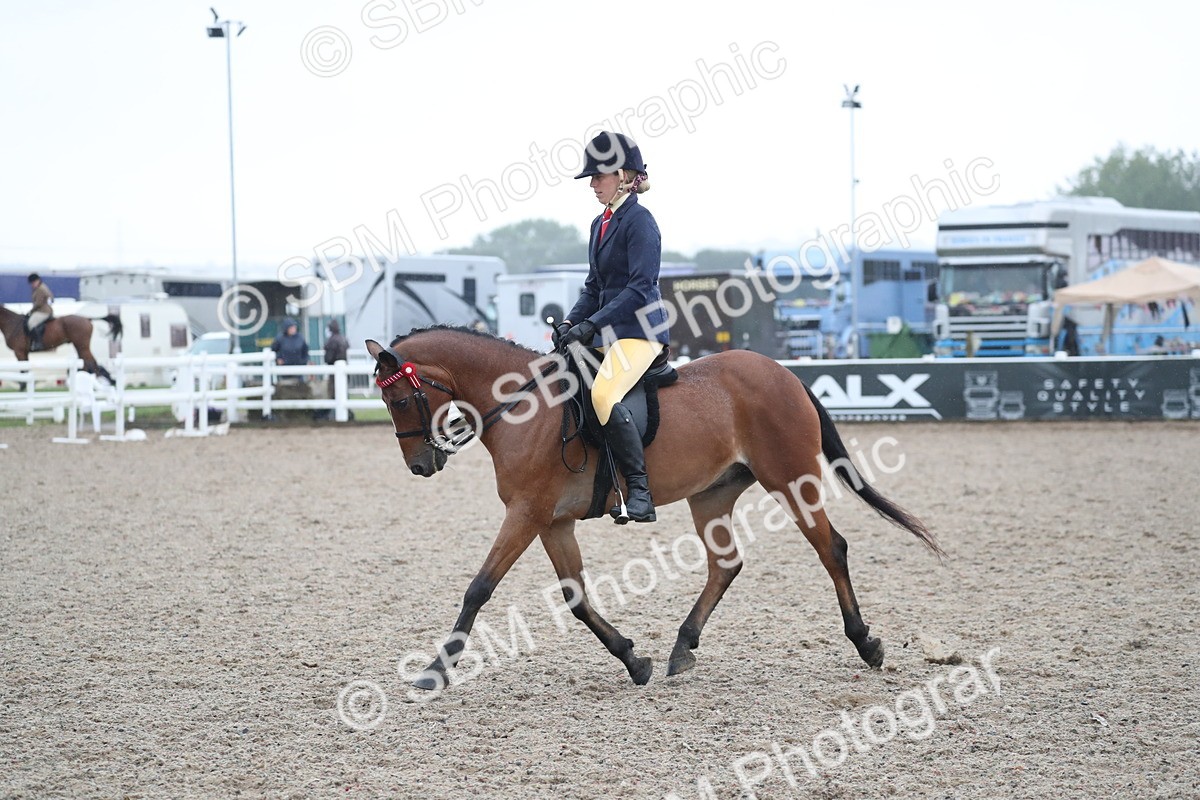 SBM_20471 - Class 601 - 2025 Area - Ridden Diamond