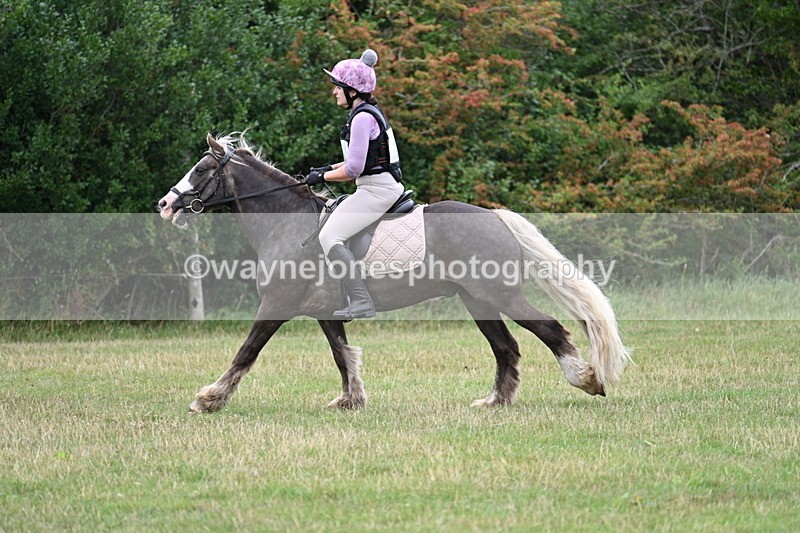 WJ7_3297 - Time 10:38 to 11:04