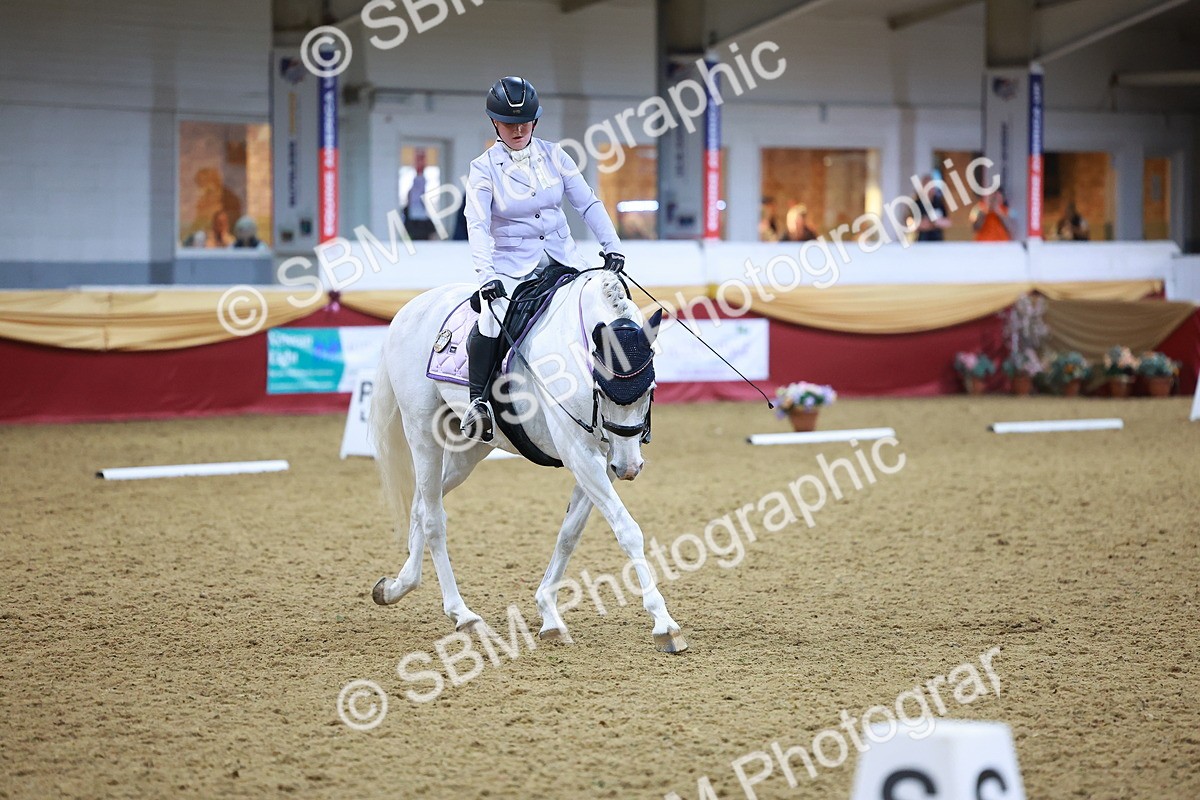 SBM_06750 - Class 61 - Dressage to Music