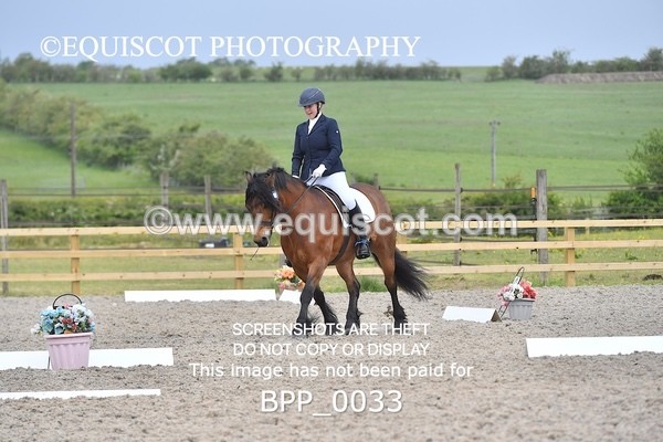 BPP_0033 - SHORT ARENA  MY QUEST PRELIM